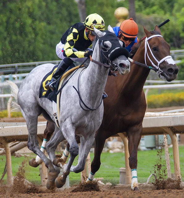 门将结构可 门将结构可